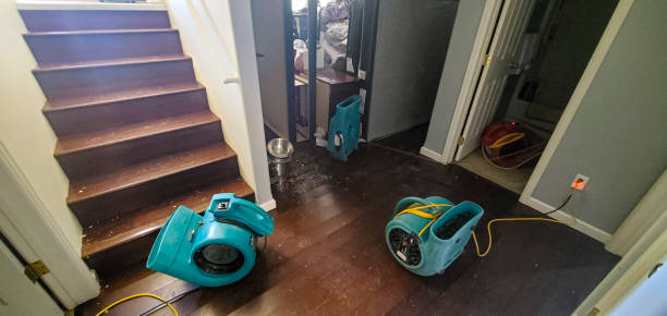 Best Flooded house restoration  in Albany, OR