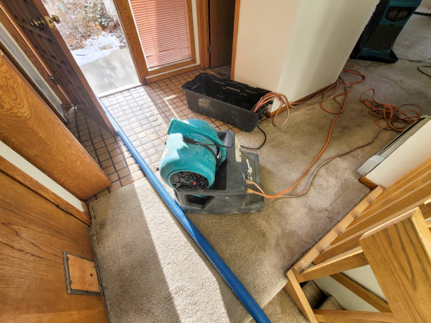 Best Emergency water damage restoration  in Albany, OR