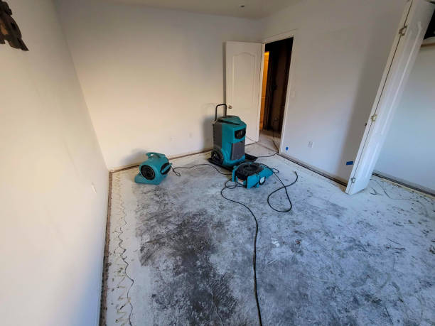 Best Water damage restoration services  in Albany, OR