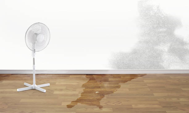 Best Emergency water damage restoration  in Albany, OR